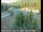Webcam in Applegate, California, 9.3 km