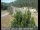 Webcam in Applegate, California, 45.1 km
