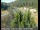 Webcam in Applegate, Californie, 9.3 km