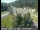 Webcam in Applegate, Californie, 34.7 km