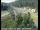 Webcam in Applegate, California, 34.7 km
