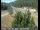 Webcam in Applegate, California, 26.9 mi away
