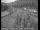 Webcam in Applegate, Kalifornien, 53.4 km entfernt