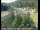 Webcam in Applegate, California, 22.1 mi away