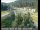 Webcam in Applegate, California, 20.6 mi away