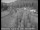 Webcam in Applegate, Californien, 69.7 km