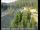 Webcam in Applegate, Kalifornien, 69.7 km entfernt