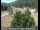 Webcam in Applegate, California, 26.9 mi away