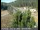 Webcam in Applegate, California, 8.8 mi away