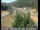 Webcam in Applegate, Californien, 34.7 km