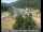 Webcam in Applegate, Kalifornien, 24.7 km entfernt