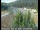 Webcam in Applegate, California, 26.9 mi away