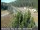 Webcam in Applegate, California, 69.7 km