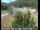 Webcam in Applegate, Californie, 69.7 km