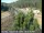 Webcam in Applegate, California, 20.6 mi away