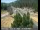 Webcam in Applegate, California, 9.8 mi away