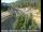 Webcam in Applegate, Californie, 50.6 km
