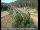 Webcam in Applegate, Californien, 45.1 km