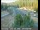 Webcam in Applegate, California, 9.5 mi away