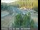 Webcam in Applegate, California, 3.6 mi away