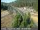Webcam in Applegate, Kalifornien, 60.1 km entfernt