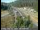 Webcam in Applegate, California, 0 km