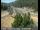 Webcam in Applegate, California, 25.4 km