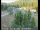 Webcam in Applegate, Californie, 62.4 km