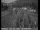 Webcam in Applegate, California, 54.5 km