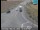 Webcam in Avenal, California, 141.4 km