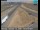 Webcam in Avenal, California, 72.5 mi away