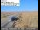 Webcam in Baker, Californie, 93 km
