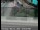Webcam in Bakersfield, California, 39.1 mi away