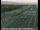 Webcam in Banta, Californien, 77.8 km