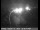 Webcam in Clear Lake, California, 62.6 km