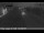 Webcam in Costa Mesa, California, 7.5 mi away