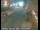 Webcam in Eureka, California, 9.3 mi away