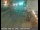 Webcam in Eureka, California, 33.6 mi away