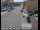 Webcam in Eureka, California, 60.5 mi away