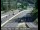 Webcam in Grass Valley, California, 18.2 mi away