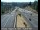 Webcam in Grass Valley, Kalifornien, 16.9 km entfernt