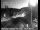 Webcam in Grass Valley, California, 31.8 km