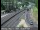 Webcam in Grass Valley, California, 45.1 mi away