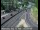 Webcam in Grass Valley, Kalifornien, 68.8 km entfernt