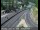 Webcam in Grass Valley, California, 45.1 mi away