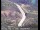 Webcam in Lakehead, California, 11.2 mi away