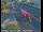 Webcam in Long Beach, California, 1.5 mi away