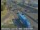 Webcam in Long Beach, California, 1.2 mi away