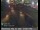 Webcam in Long Beach, California, 1.2 mi away