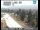 Webcam in Mount Shasta, California, 11.4 km